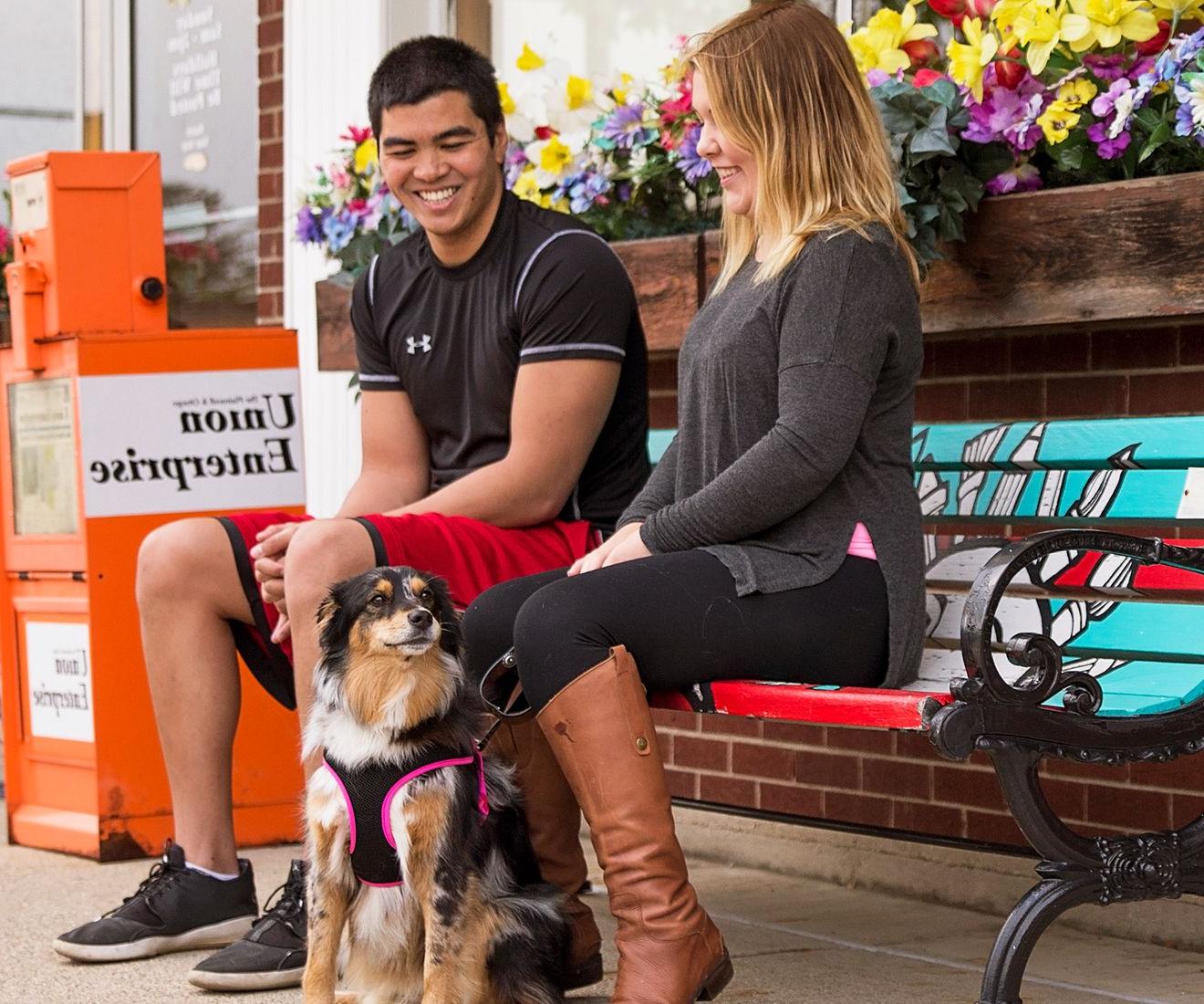 Arbor customers sitting on a bench with their dog.